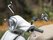 Quad Lock Motorcycle and Scooter Mirror Mount