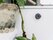 Quad Lock Adhesive Wall Mount
